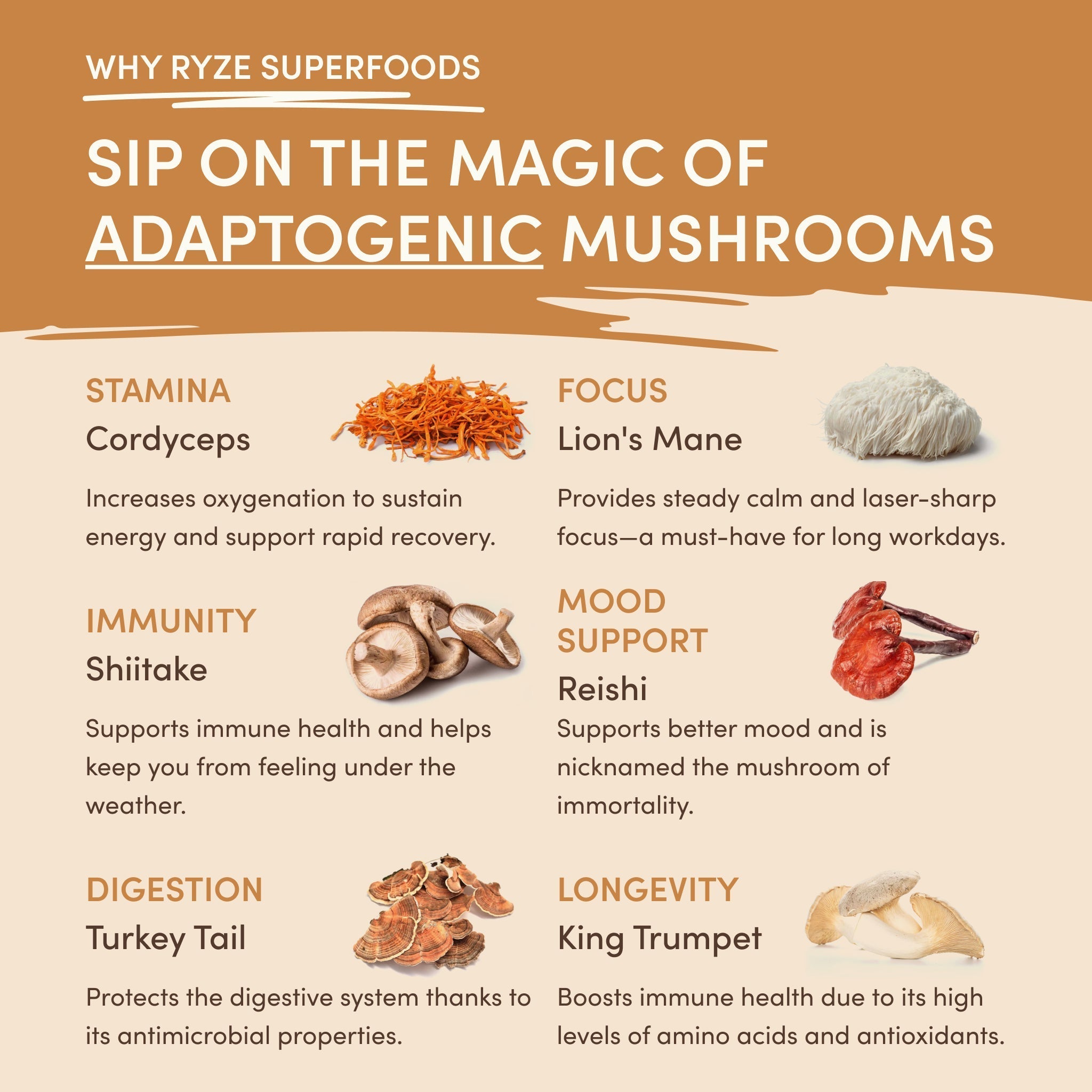 Mushroom Overnight Oats (14 Servings) - Steady Energy