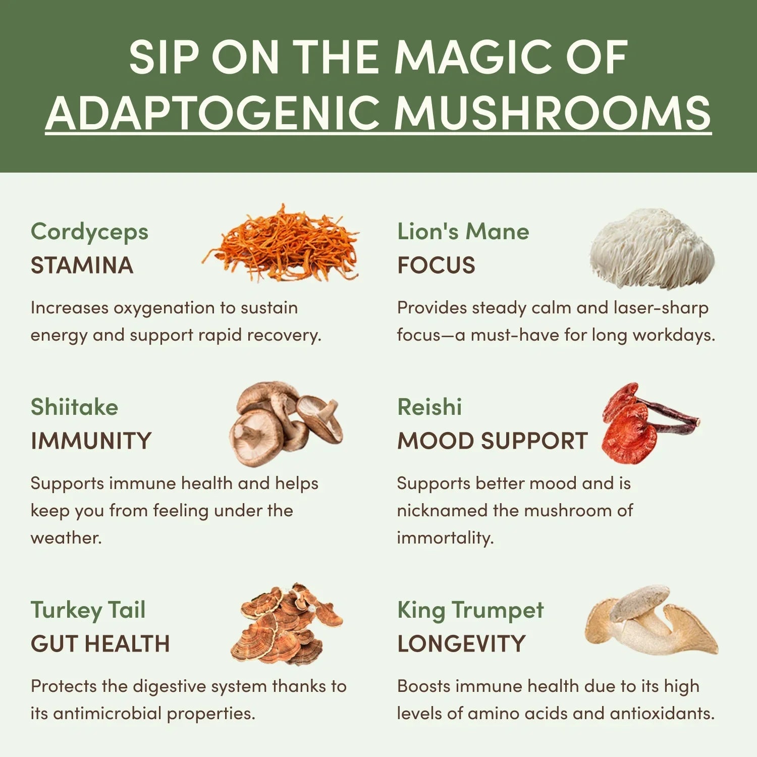 Mushroom Matcha (30 Servings) - Smart Coffee
