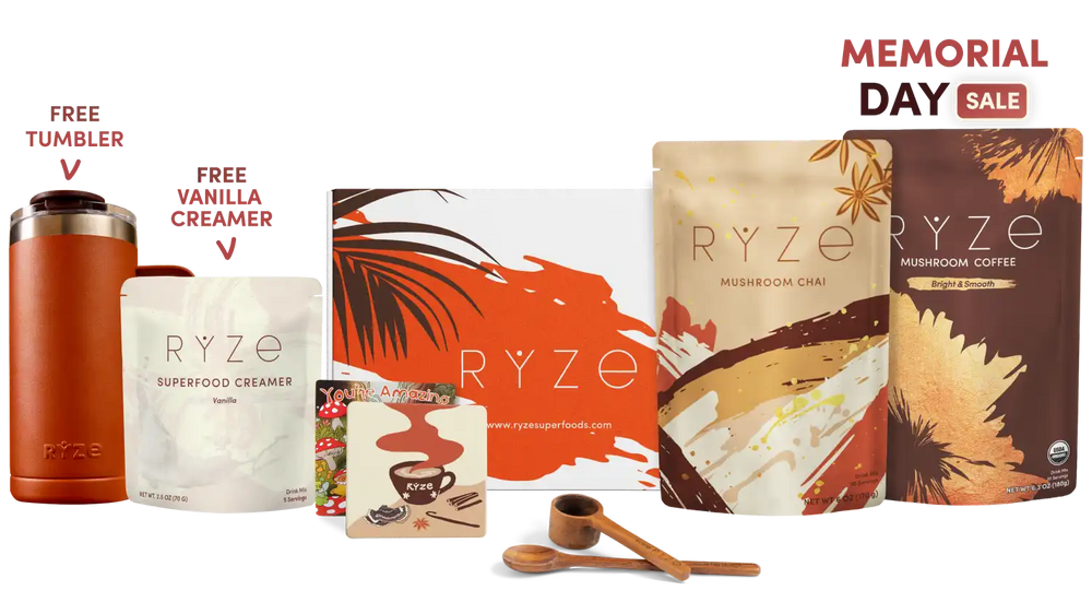 Boosted Chai Latte Bundle (Chai + Coffee) - No Jitters