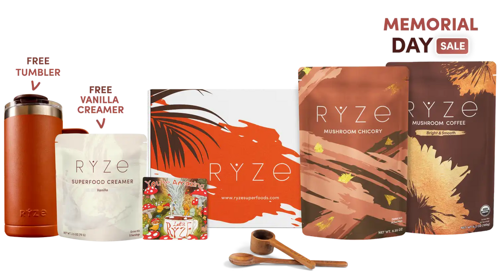 Lasting Energy Bundle (Chicory + Coffee) - Coffee Upgrade