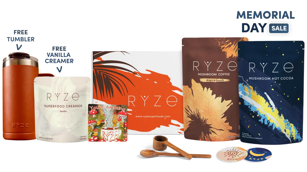 Day + Night Bundle (Coffee + Cocoa) - Organic Coffee