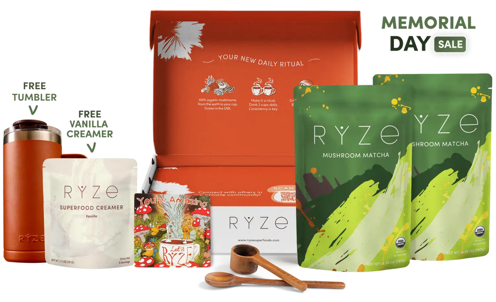 Mushroom Matcha Starter Kit (60 Servings) - Focus Support